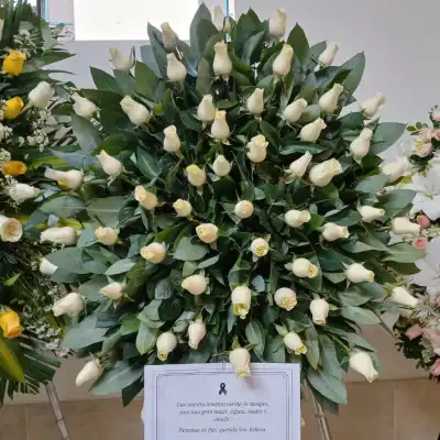 Corona Paz Eterna — Foto real de entrega