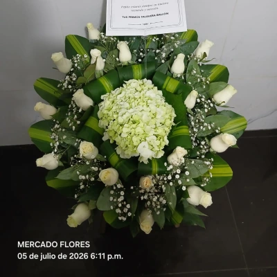 Lágrima Digna Despedida — Foto real de entrega