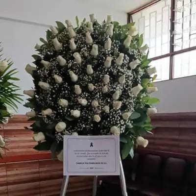 Corona Pureza Infinita — Foto real de entrega