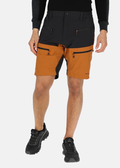 Lofoten Stretch Shorts