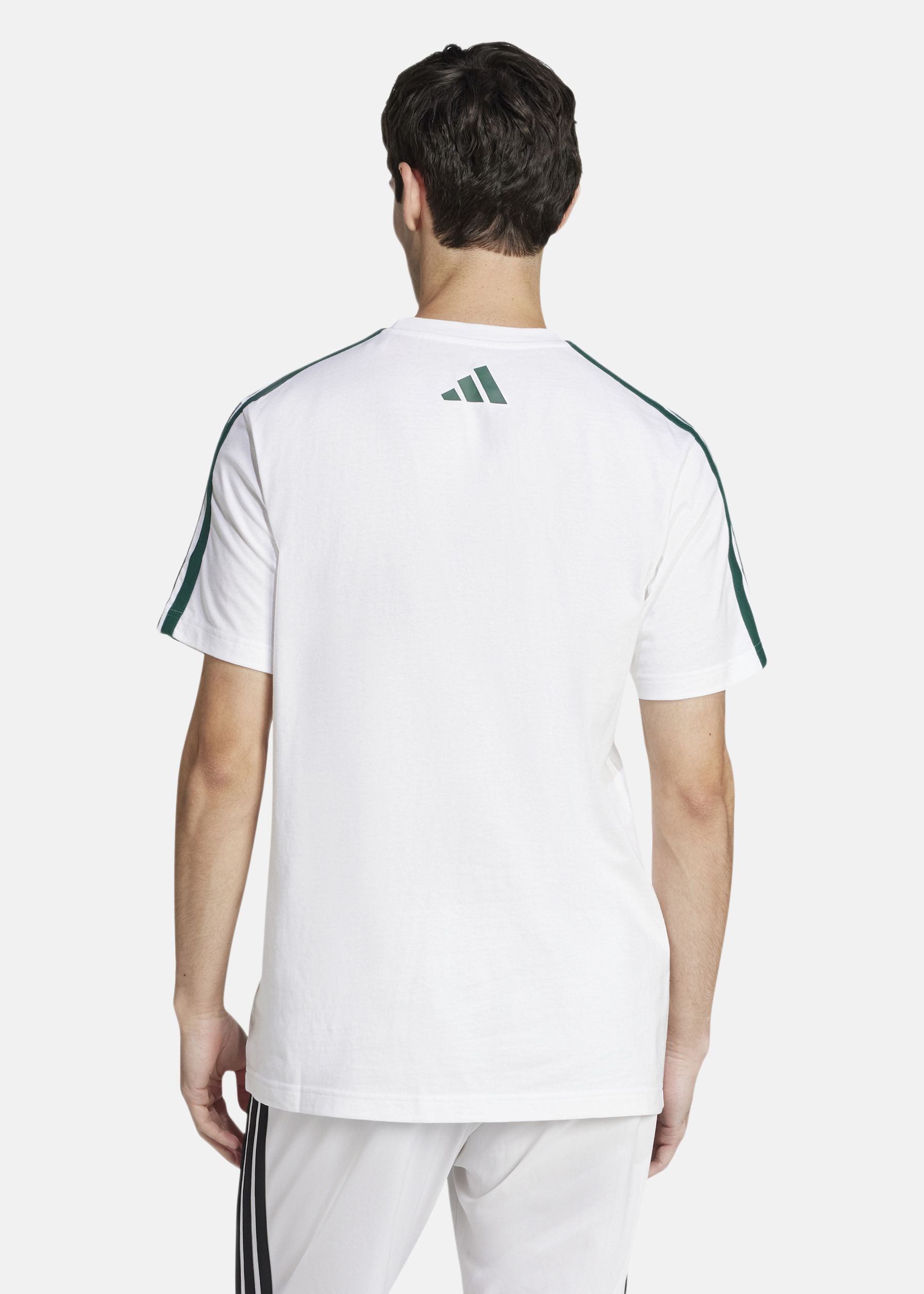 M C COLLEG TEE