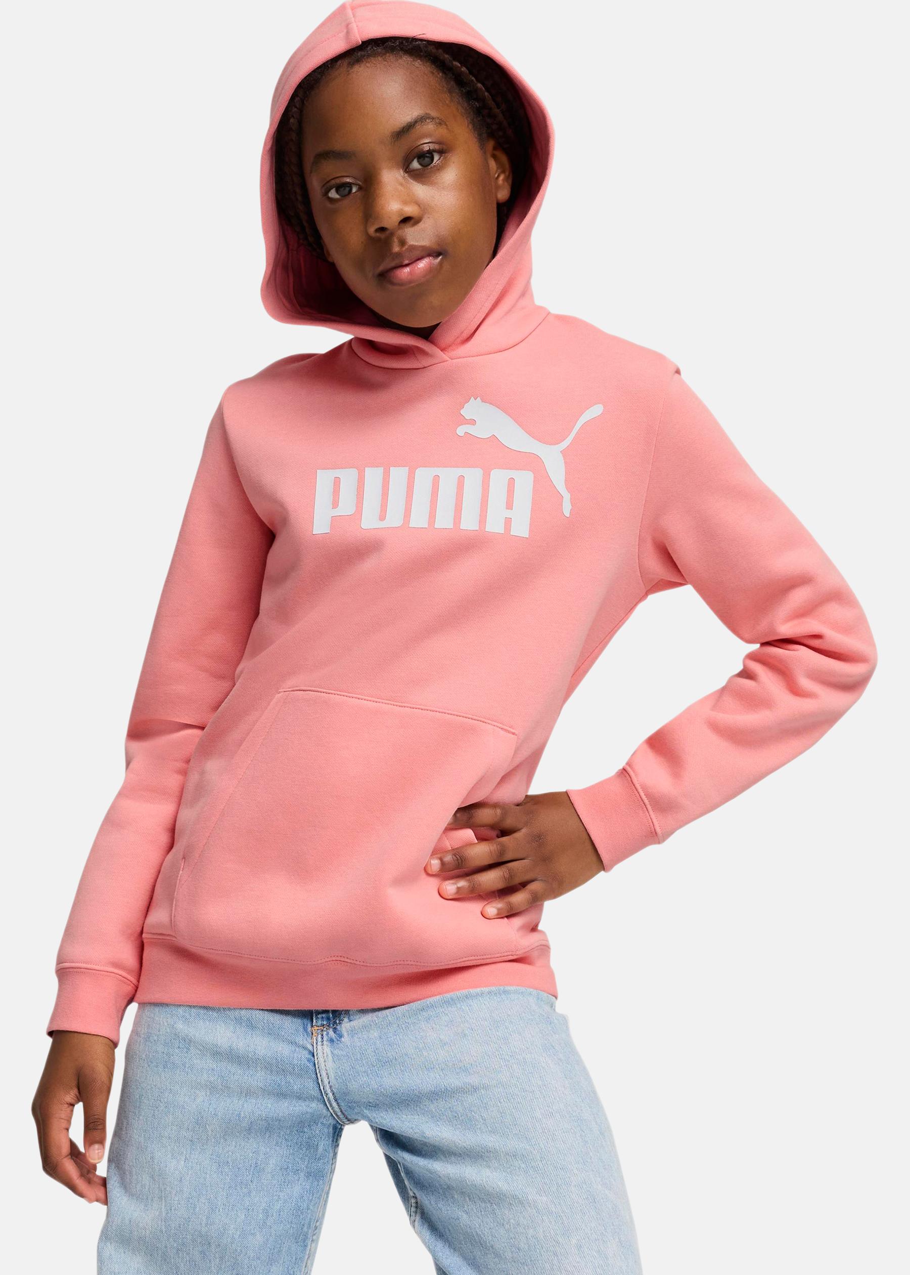 ESS No. 1 Logo Hoodie FL G
