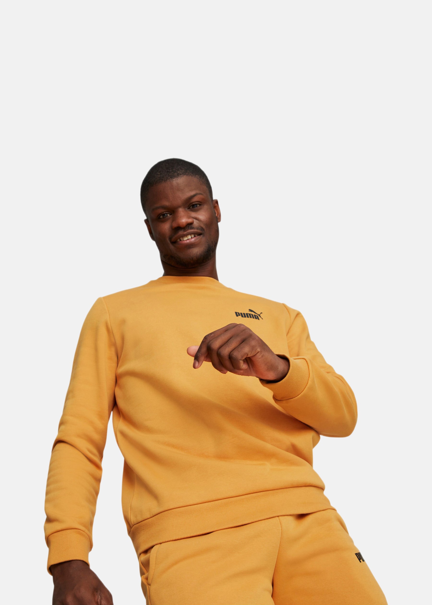 ESS Small Logo Crew FL (s)