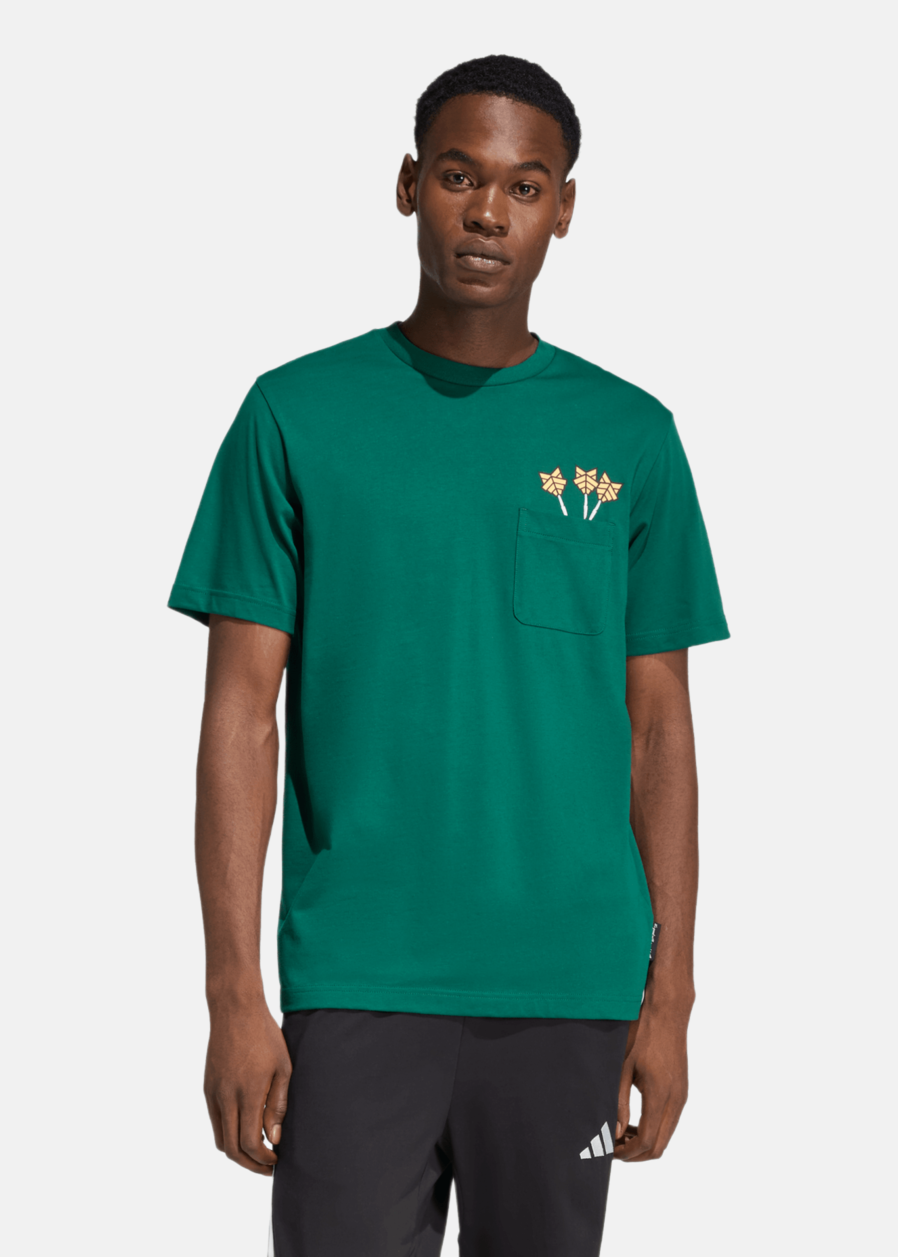 M NOV DART T