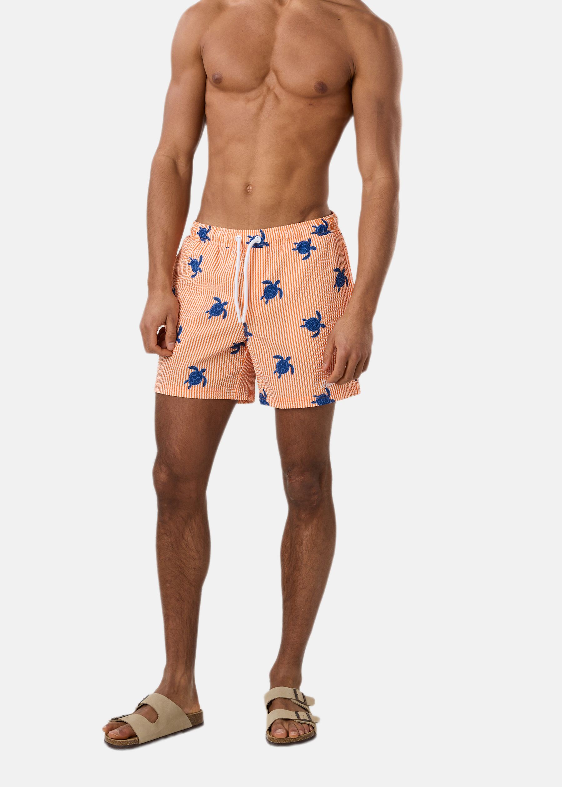 Hawaii Beach Shorts