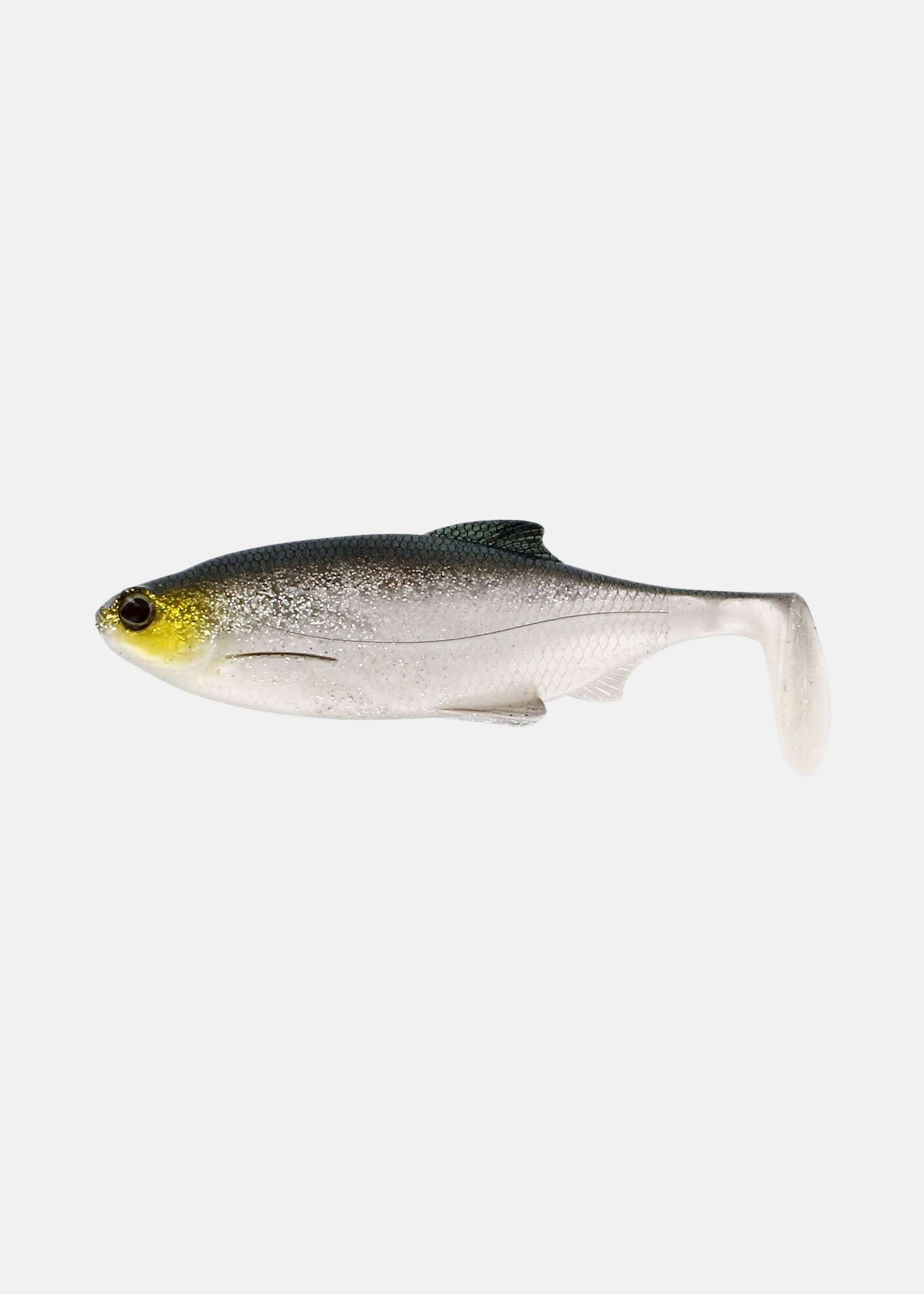 RICKY THE ROACH SHADTAIL 14CM |  - sv-se - dam - utrustning - fiske - fiskedrag-tafsar - jiggar-gummibeten | Padelspecialisterna