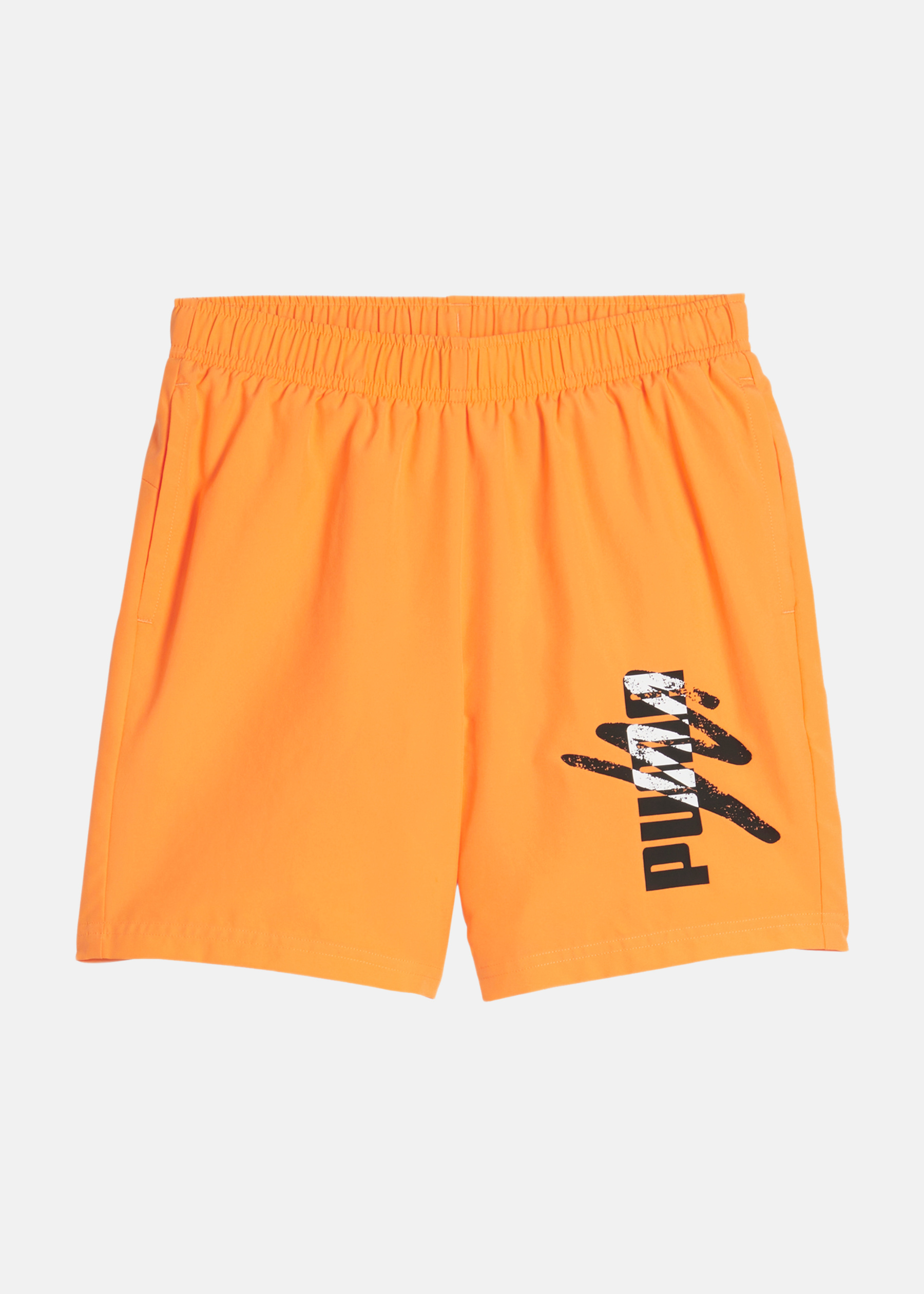 ESS+ LOGO LAB Woven Shorts 5