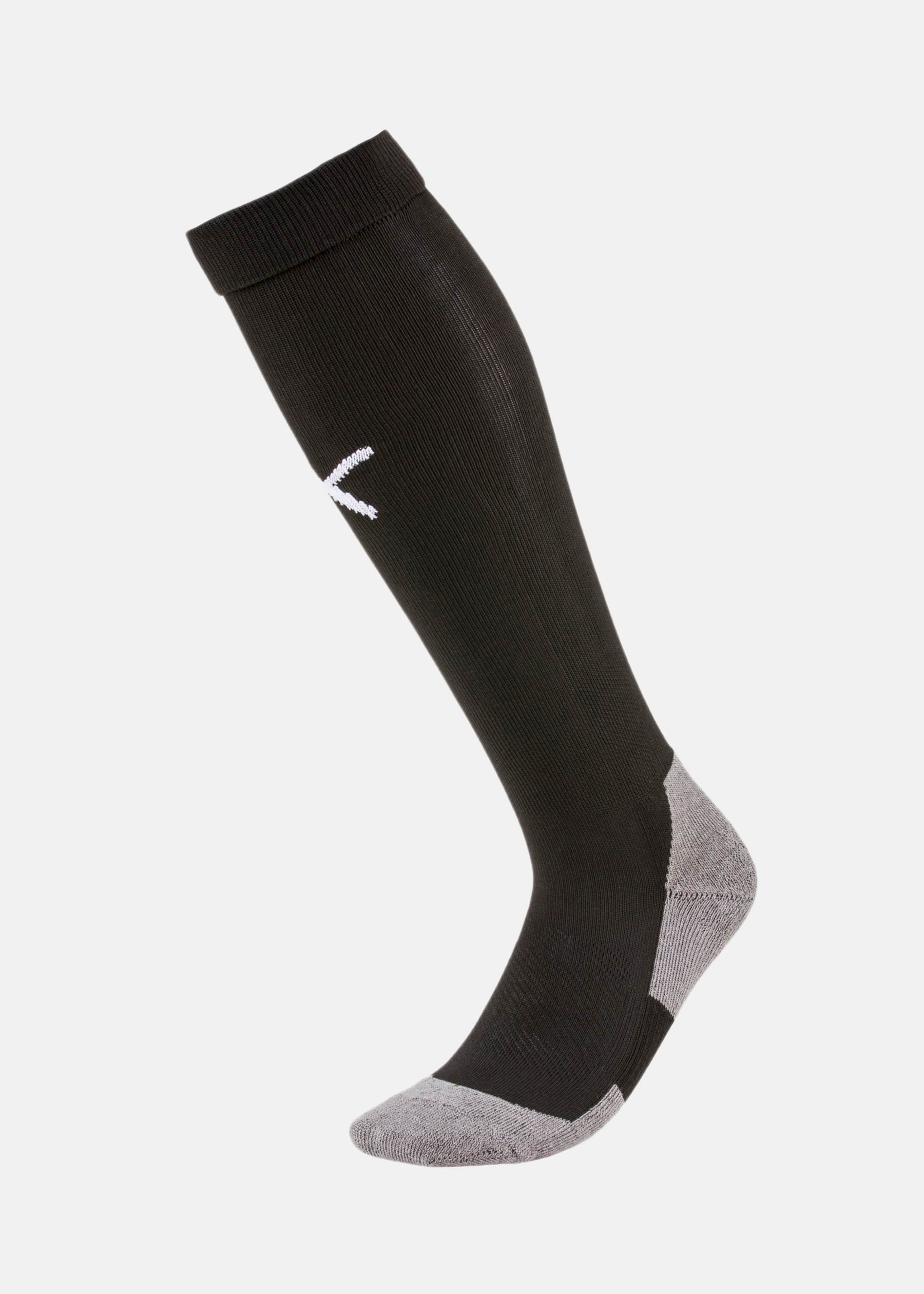 Team LIGA Socks CORE
