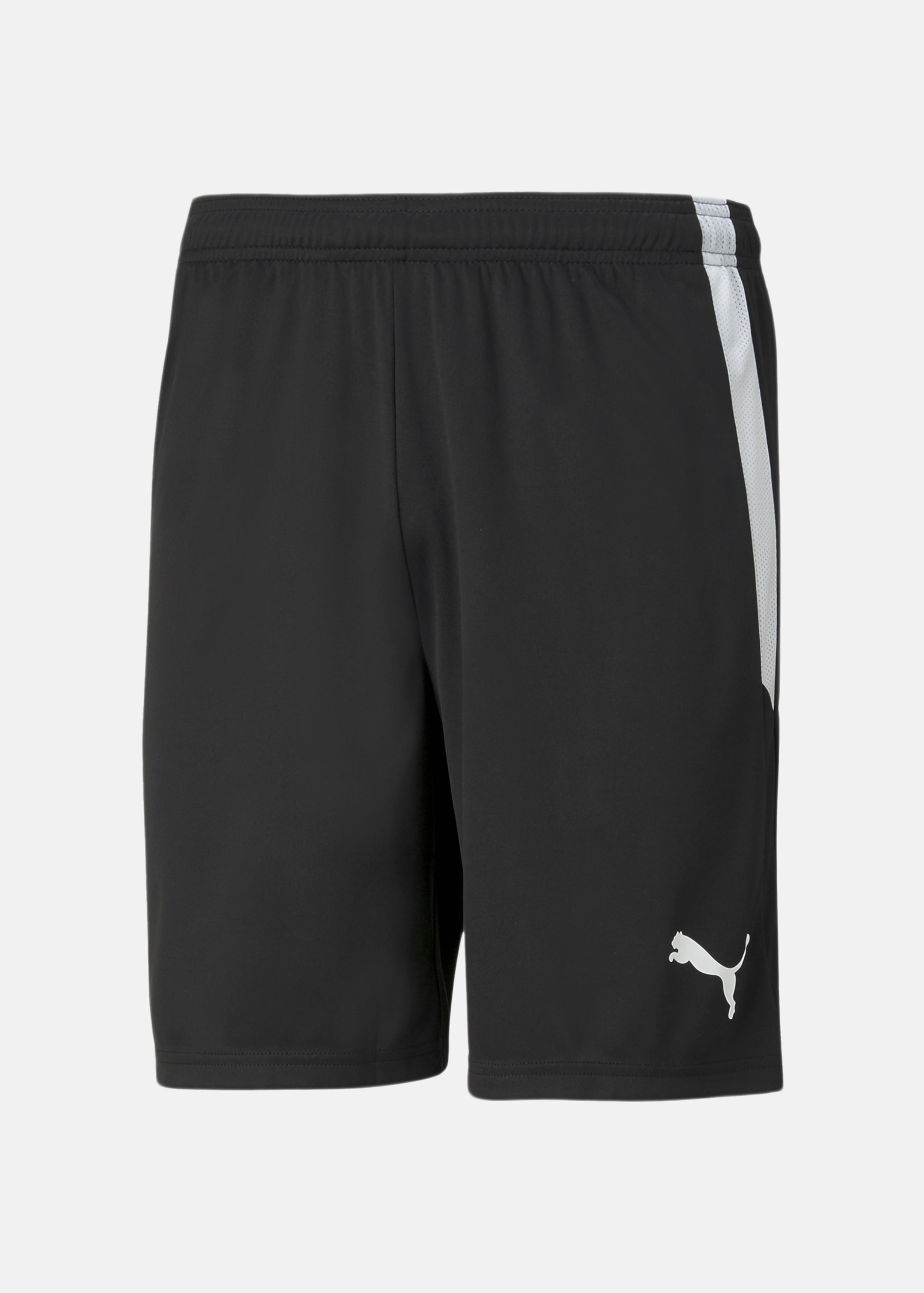 teamLIGA Shorts
