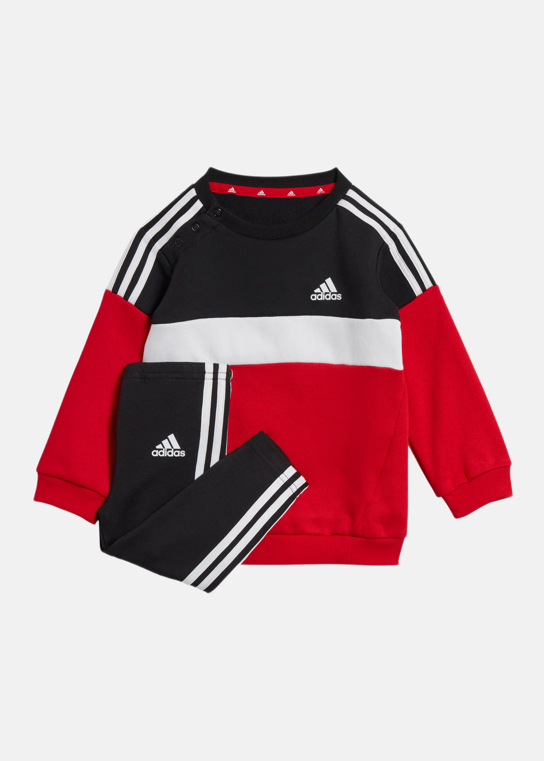 IG 3S TIB FL TS