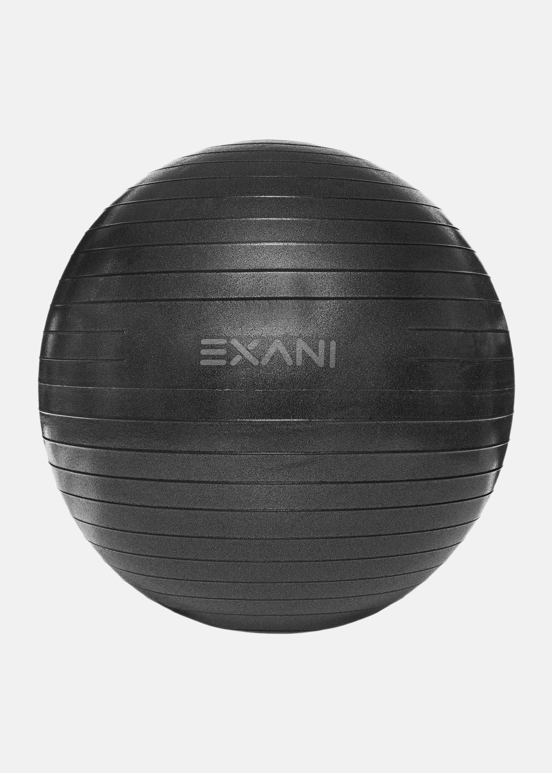 GYM BALL