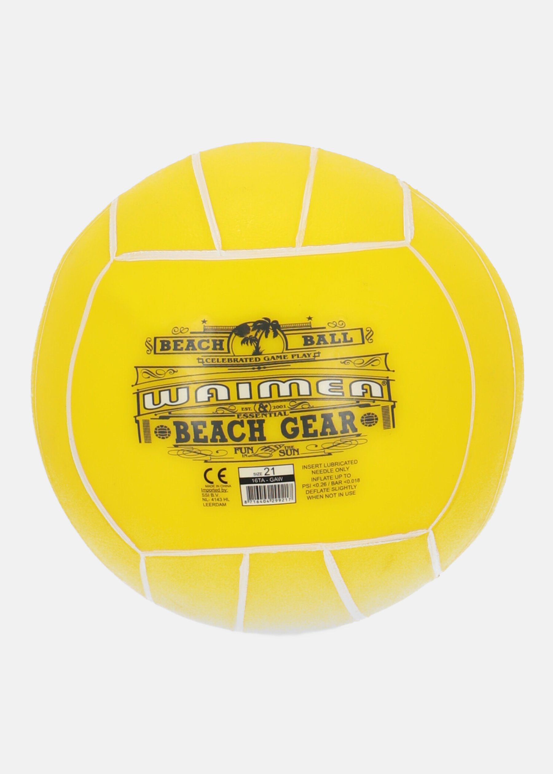 Beach Ball PVC
