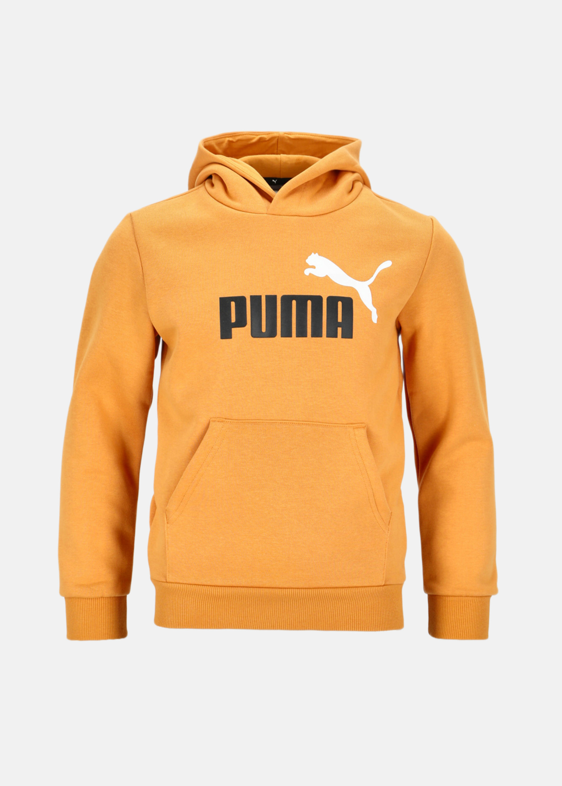 ESS+ 2 Col Big Logo Hoodie FL
