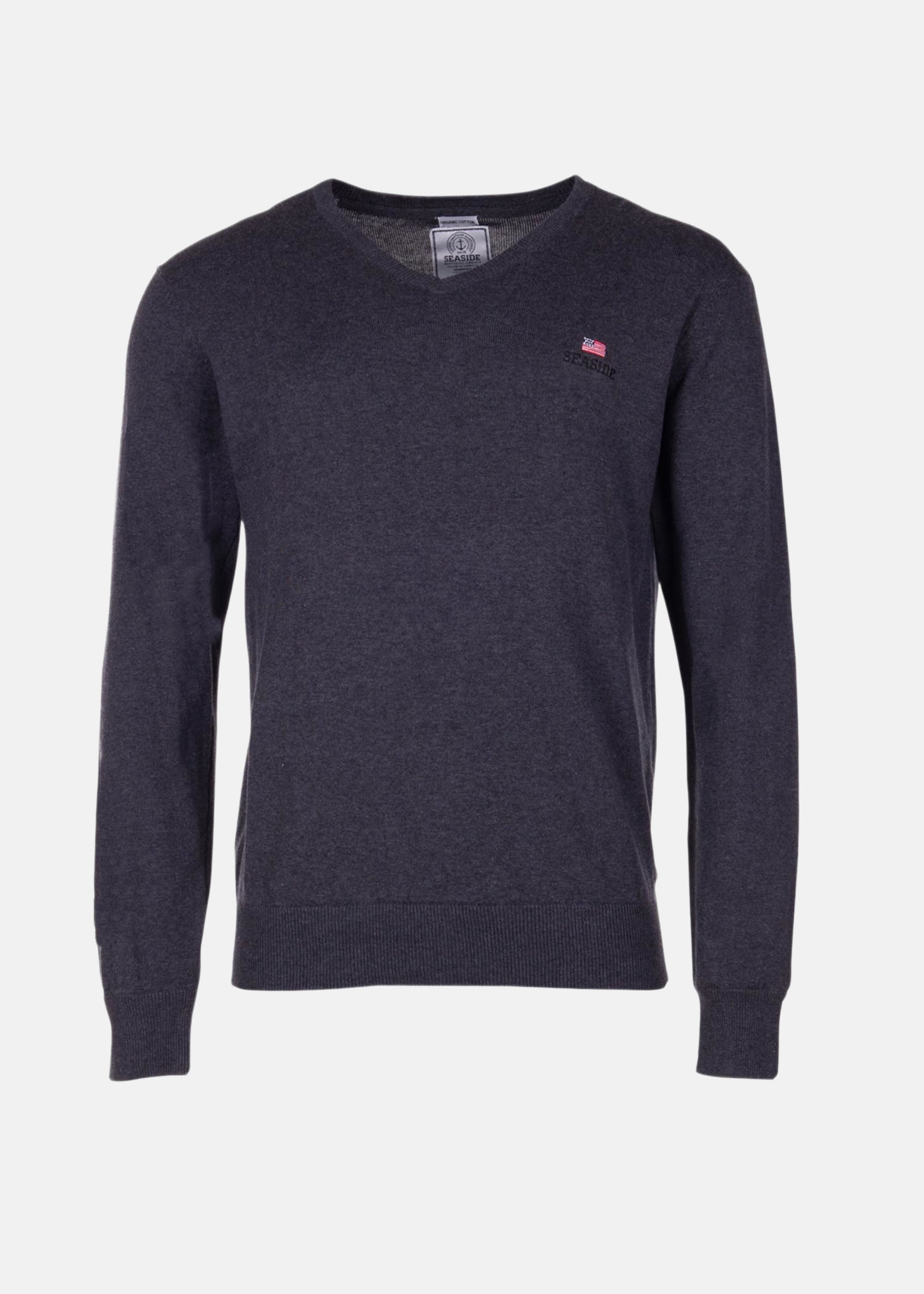 Basic V-neck