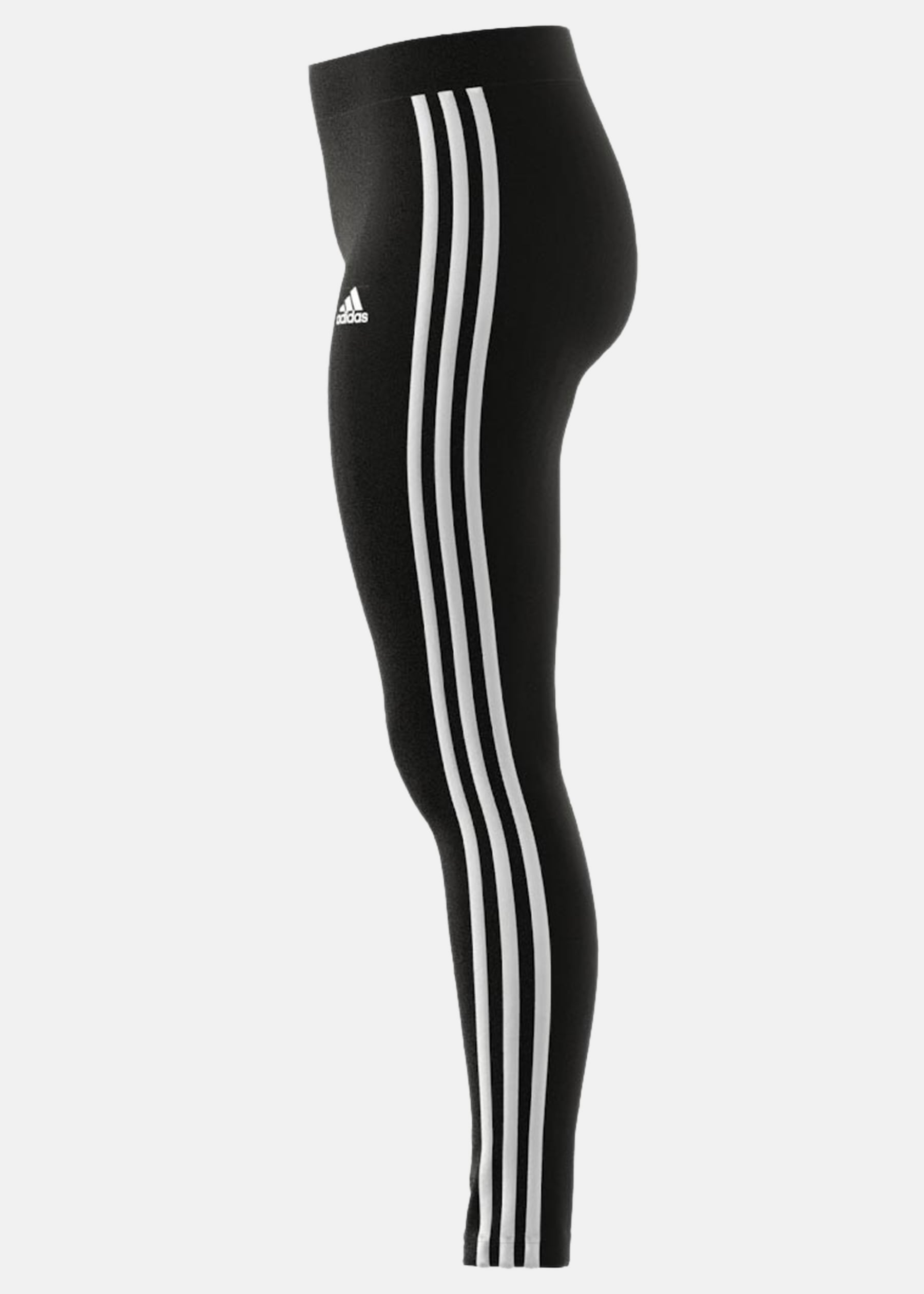W 3S LEG