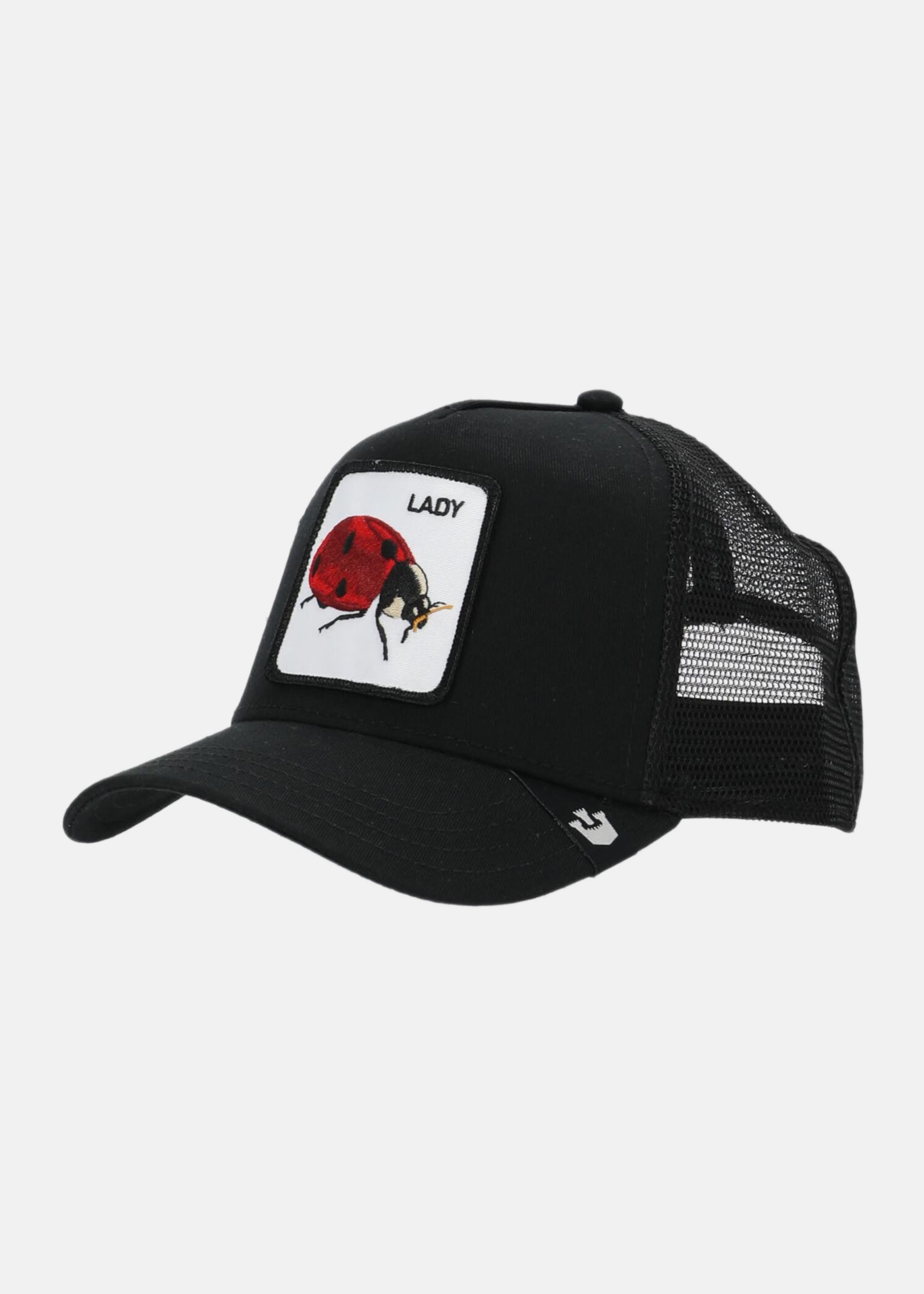The lady bug
