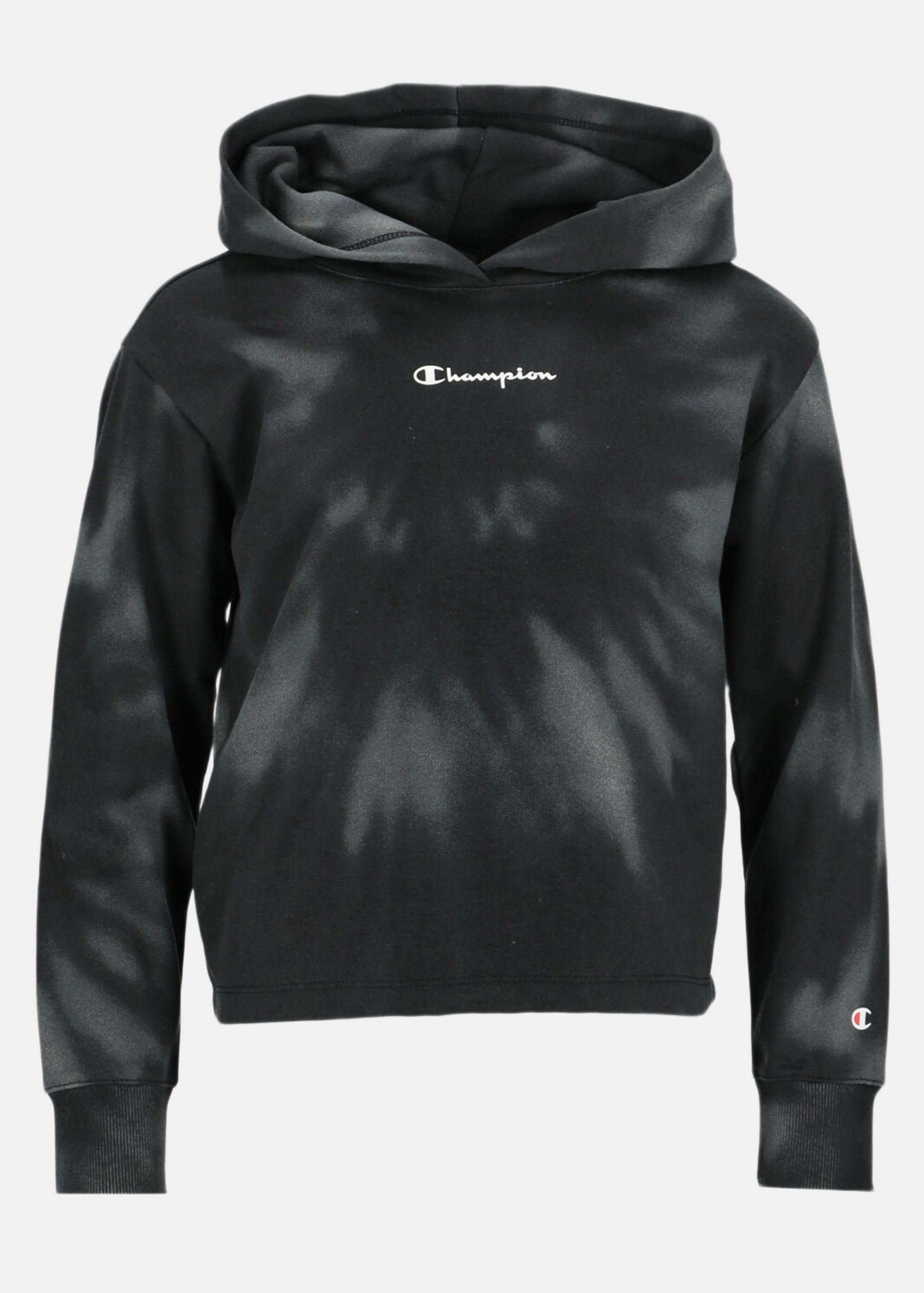 Legacy Hooded Sweatshirt JR