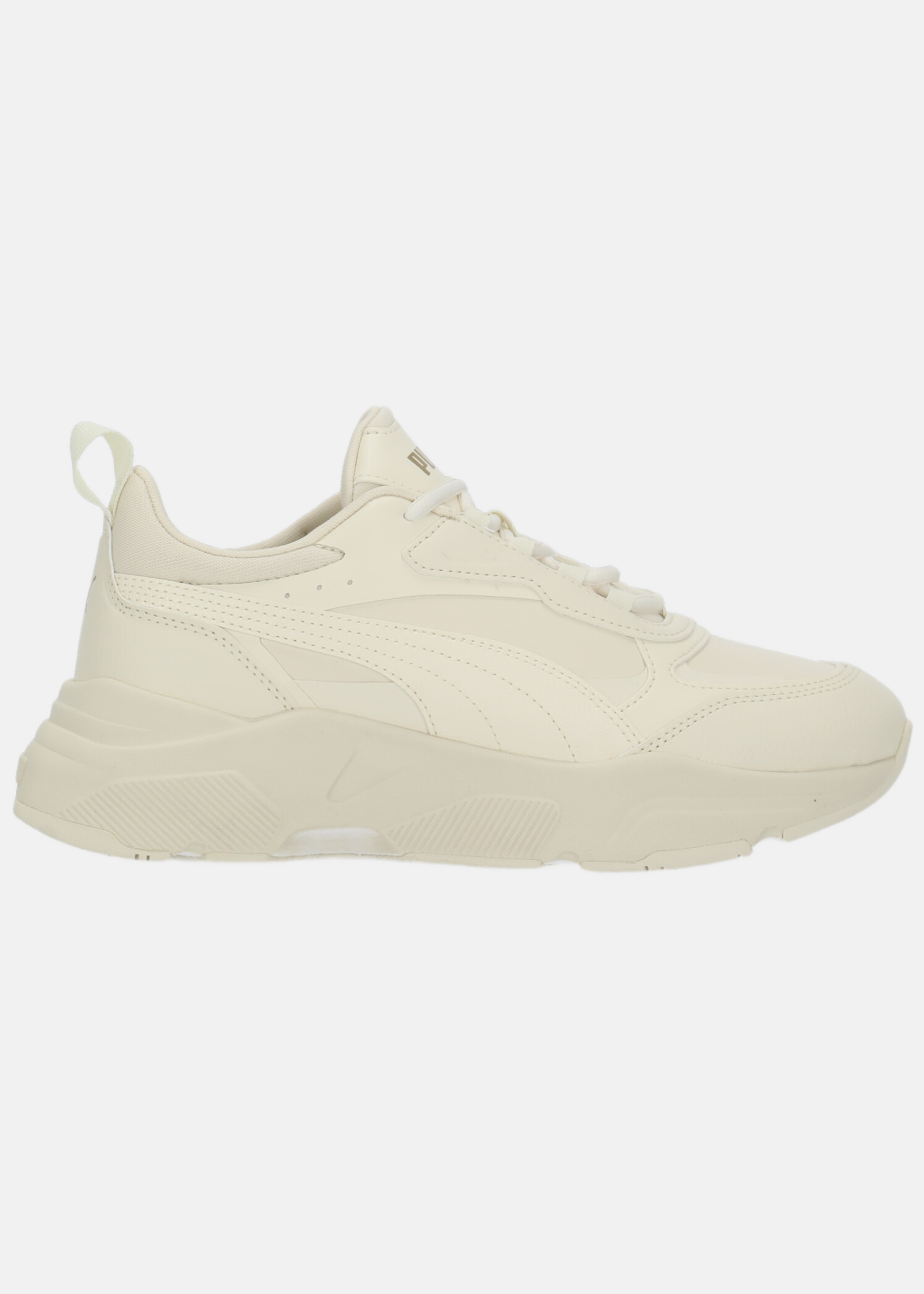 Cassia SL