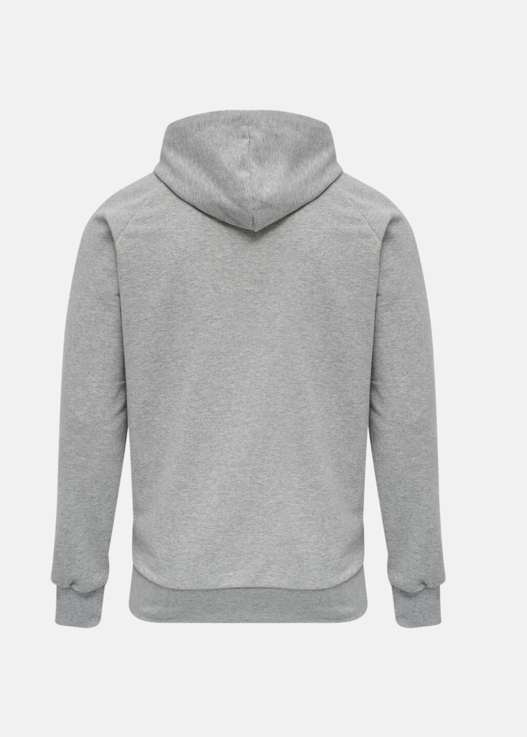 hmlISAM HOODIE