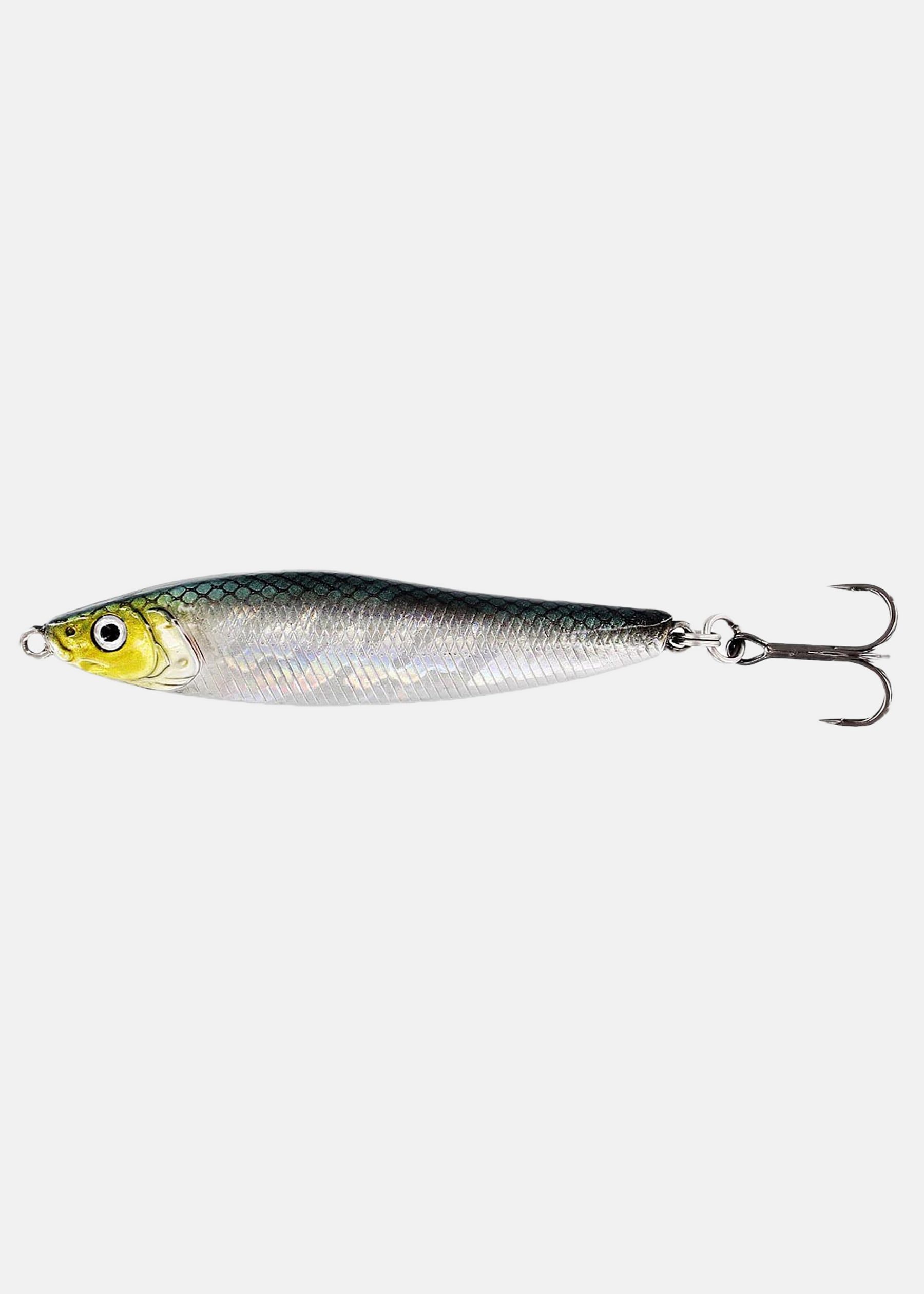 GOBY V2