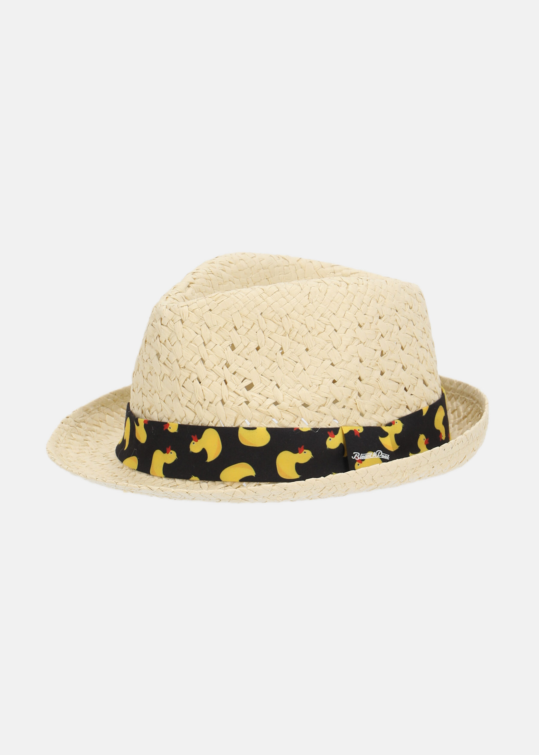 Beach Hat