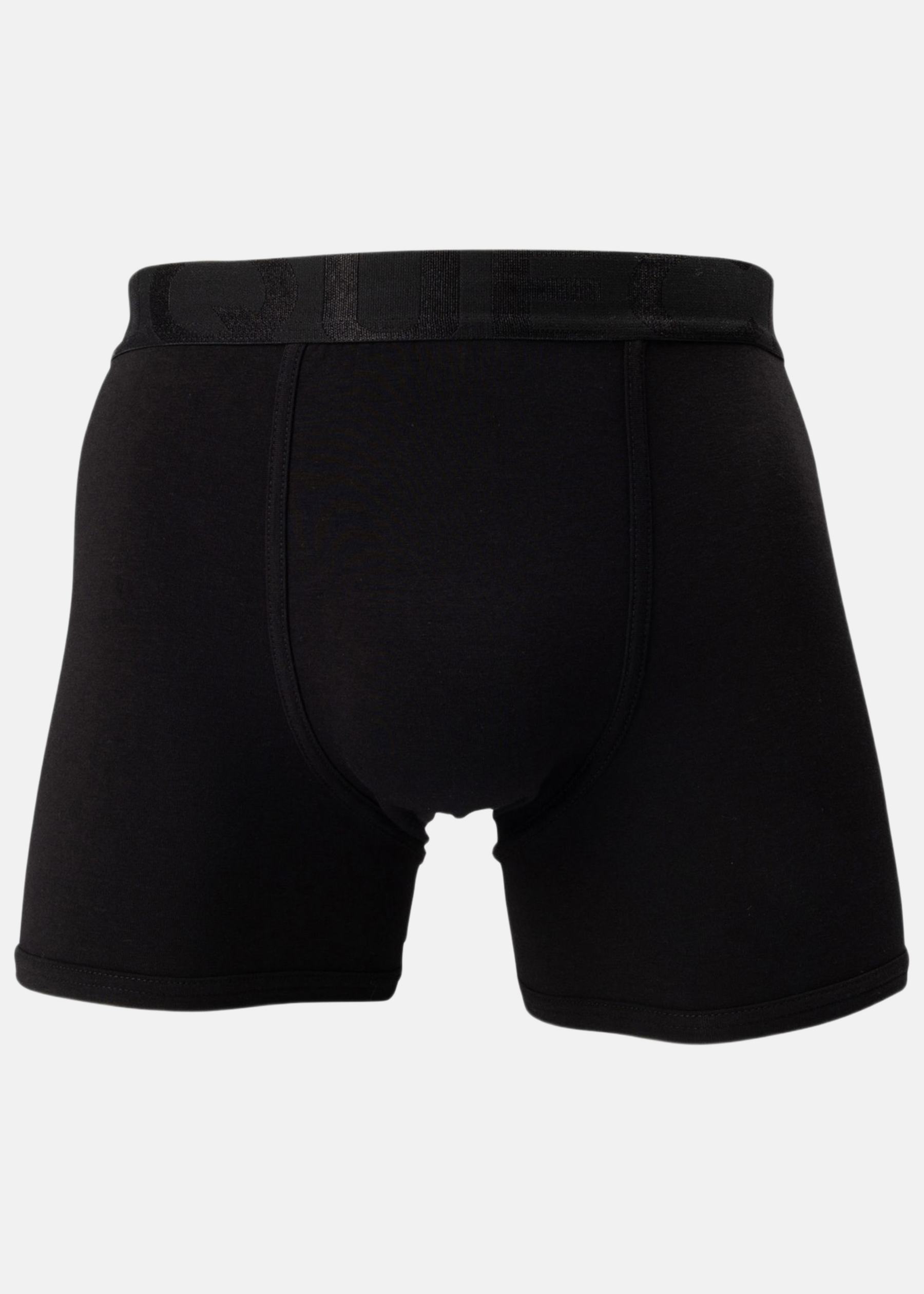 BAMBOO BOXER LONG LEG 1P
