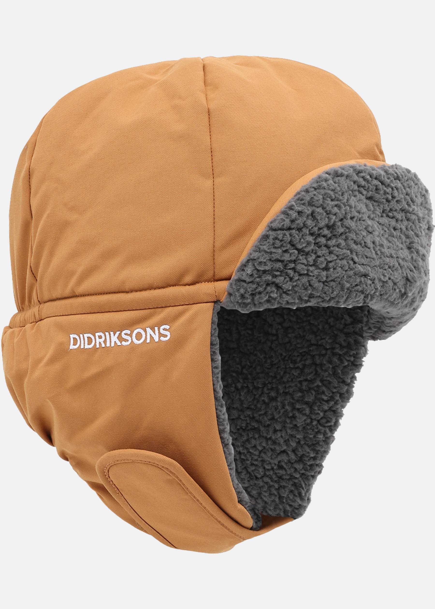 BIGGLES CAP 6
