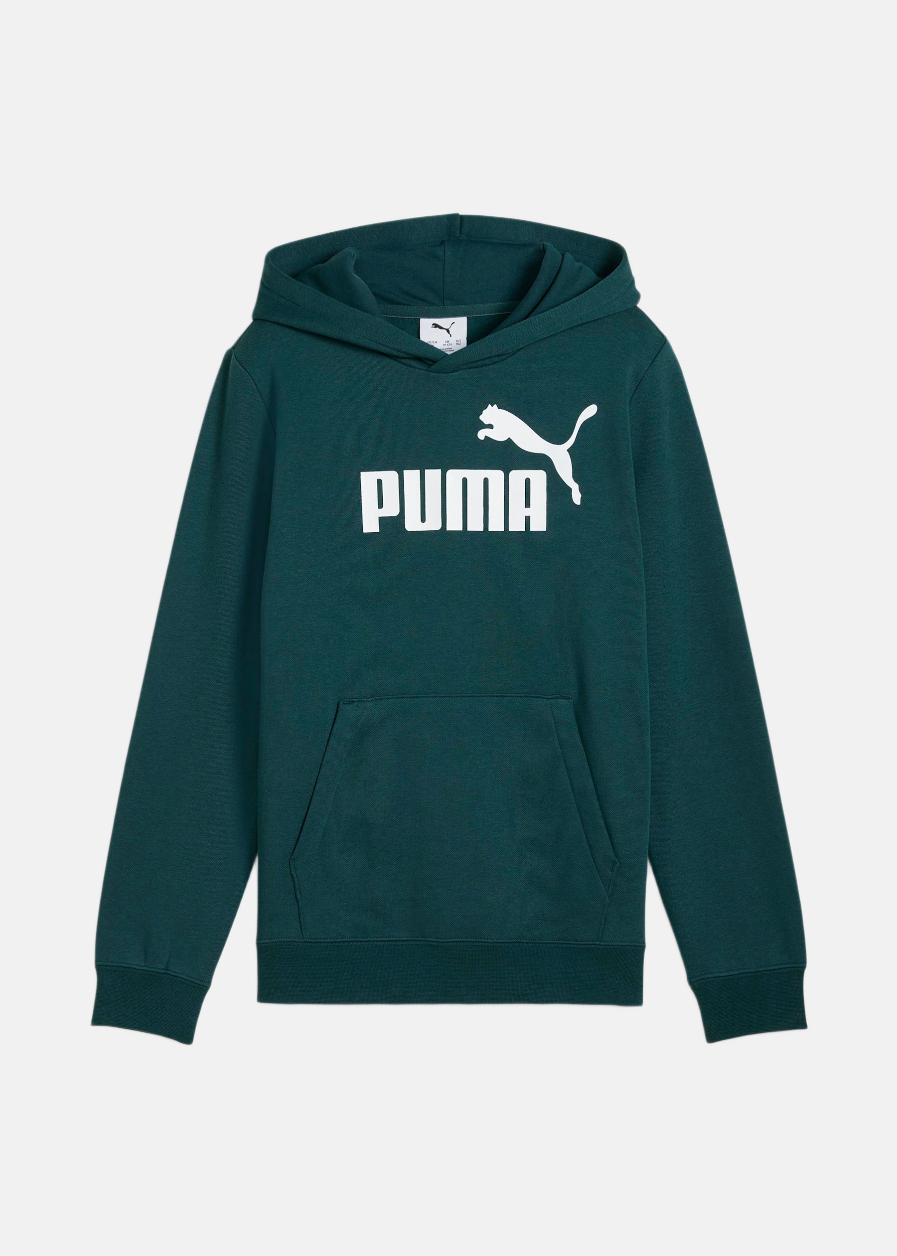 ESS No. 1 Logo Hoodie FL B