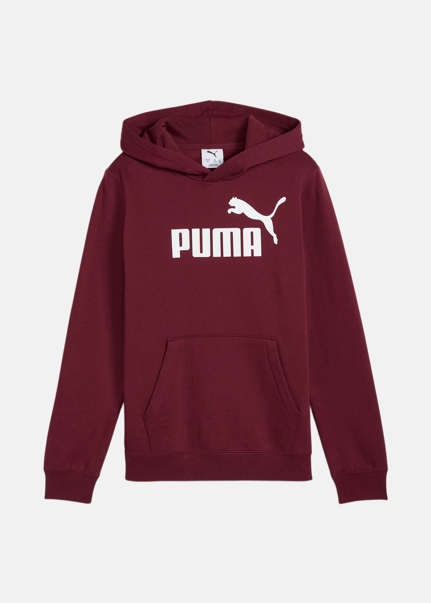 ESS No. 1 Logo Hoodie FL B