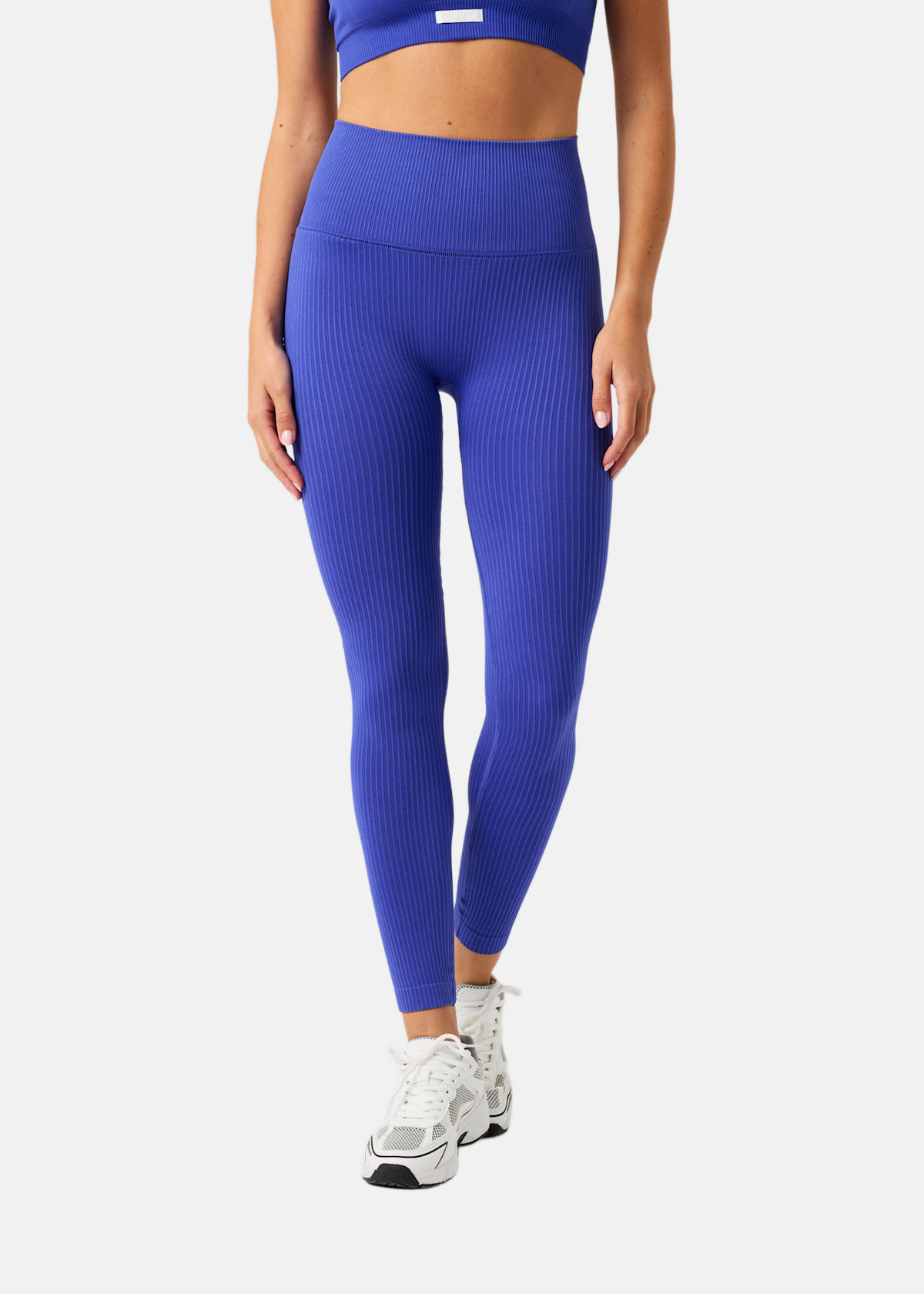 STUDIO SEAMLESS RIBBED TIGHTS