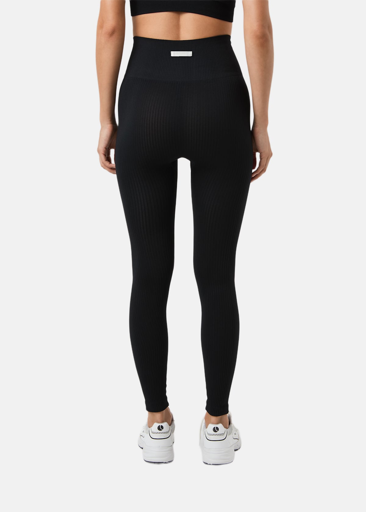 STUDIO SEAMLESS RIBBED TIGHTS