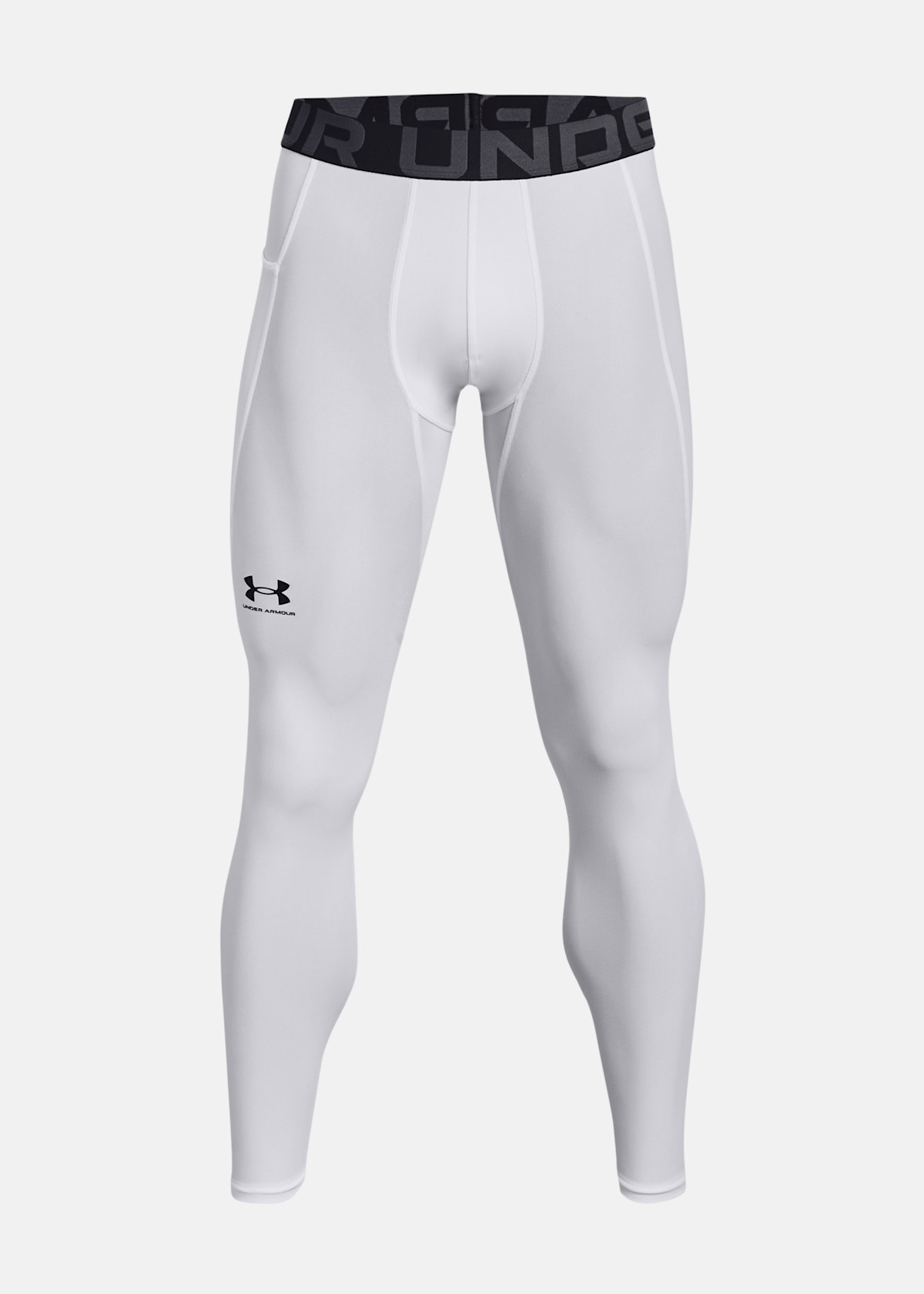 UA HG Armour Leggings