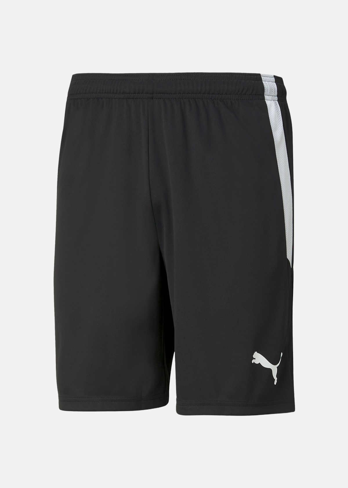 teamLIGA Shorts |  - sv-se - herr - klader - shorts - cykelshorts | Padelspecialisterna