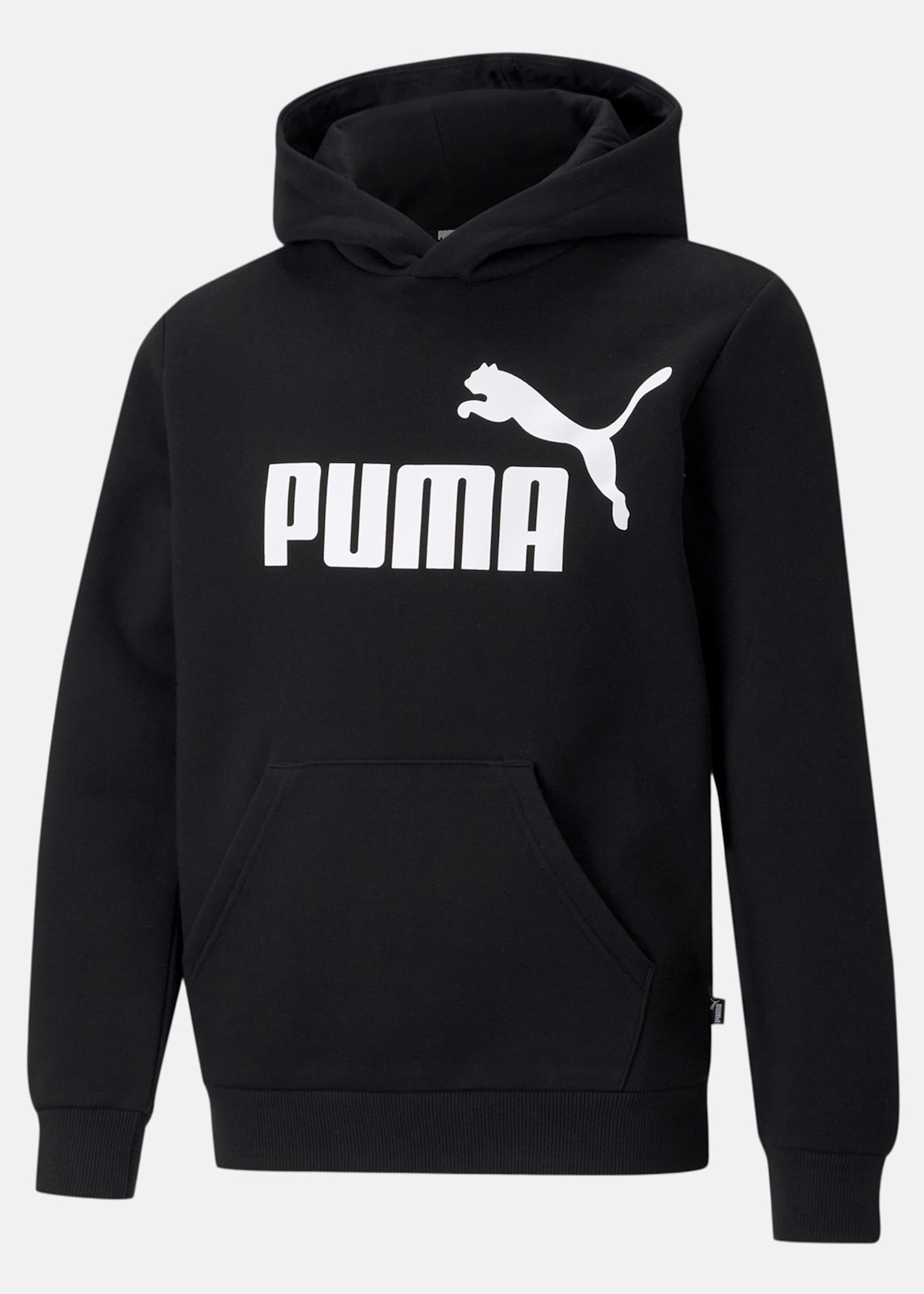 ESS Big Logo Hoodie FL B |  - sv-se - barn - klader - trojor - huvtrojor - hoodie | Padelspecialisterna