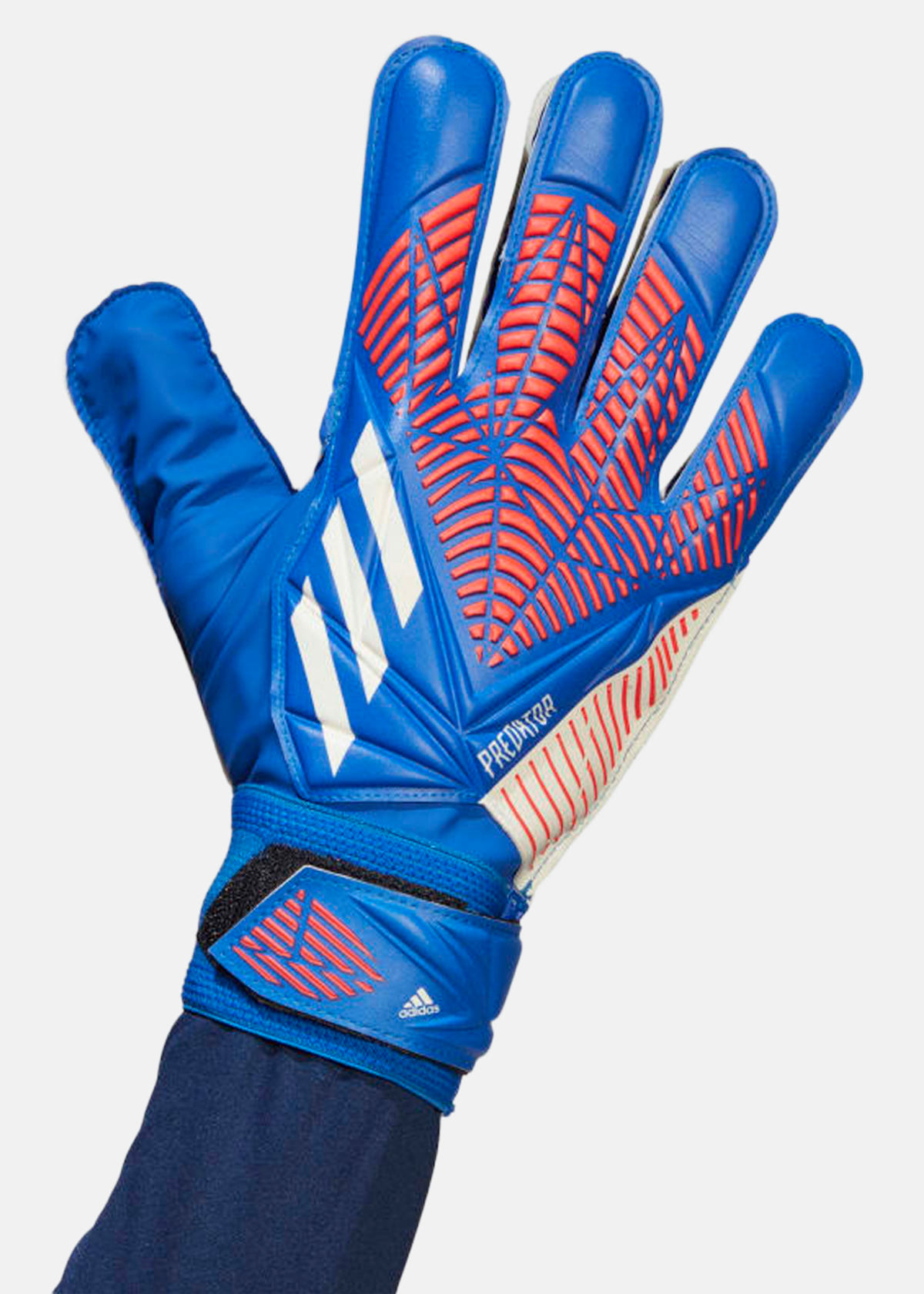 PRED GL TRN |  - sv-se - dam - klader - accessoarer - handskar - malvaktshandskar-fotboll | Padelspecialisterna