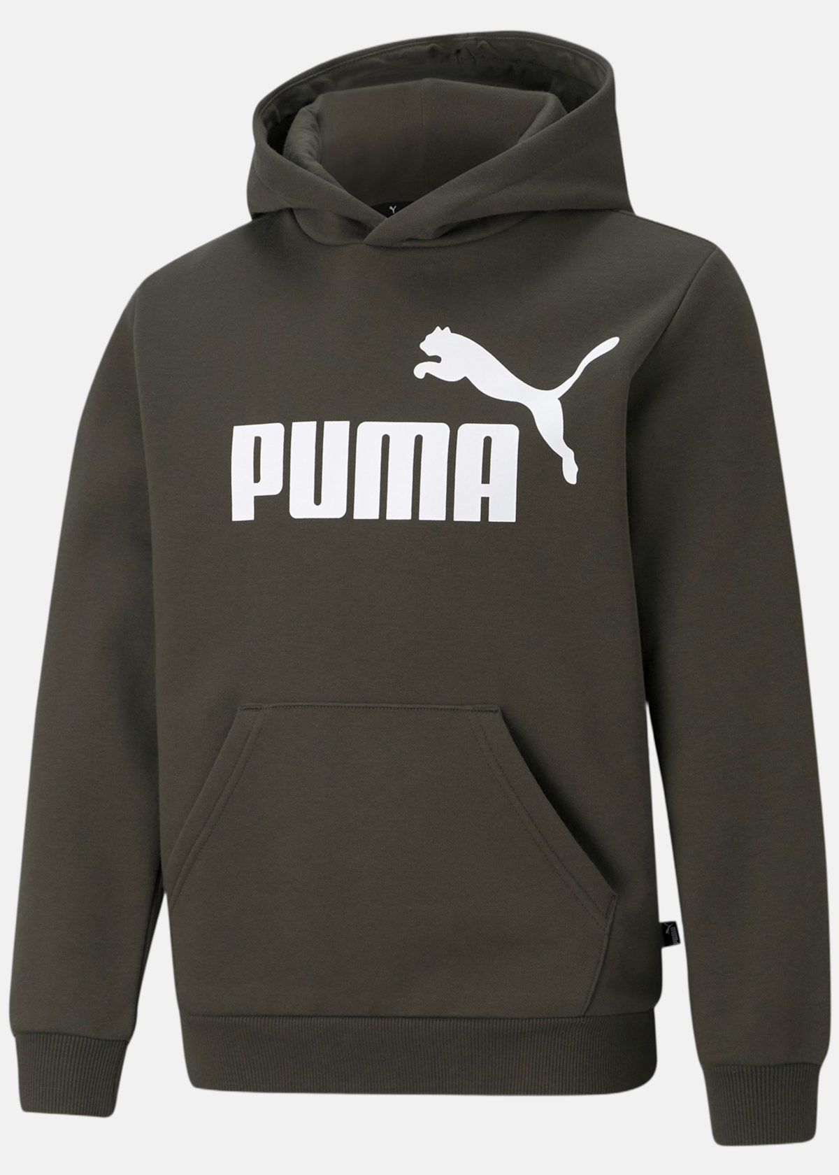 ESS Big Logo Hoodie FL B |  - sv-se - barn - klader - trojor - huvtrojor - hoodie | Padelspecialisterna