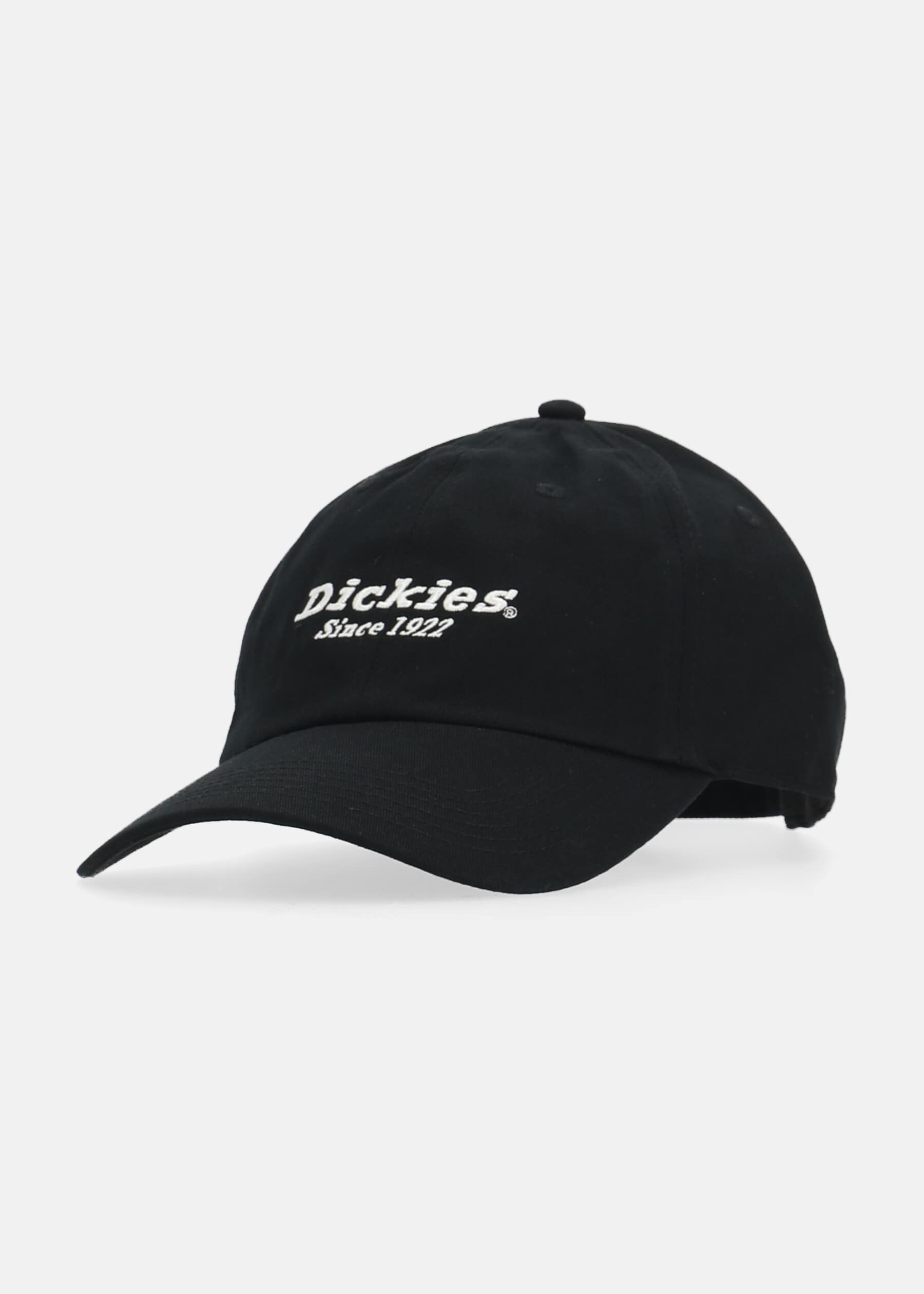 Dickies TWILL DAD HAT kepsar herr