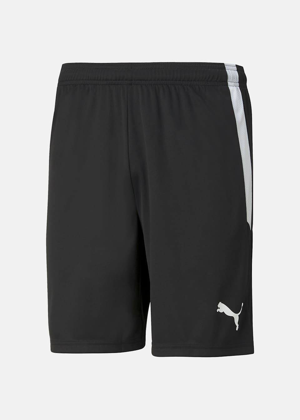 teamLIGA Shorts