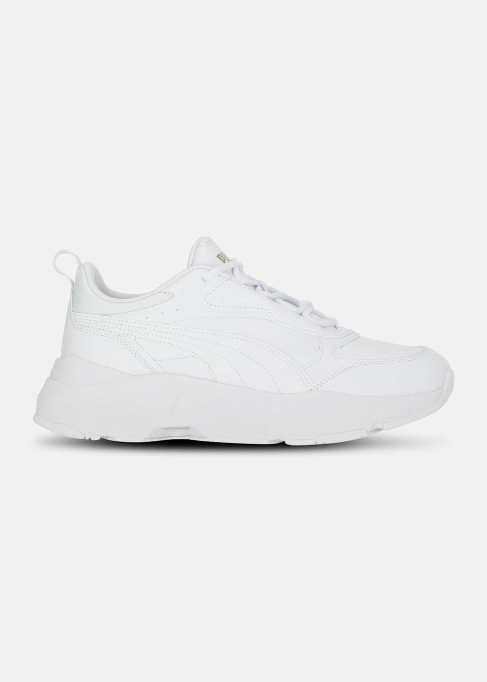 Cassia SL
