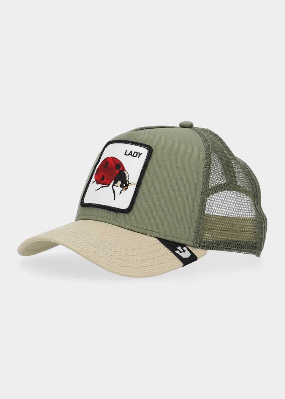 The lady bug