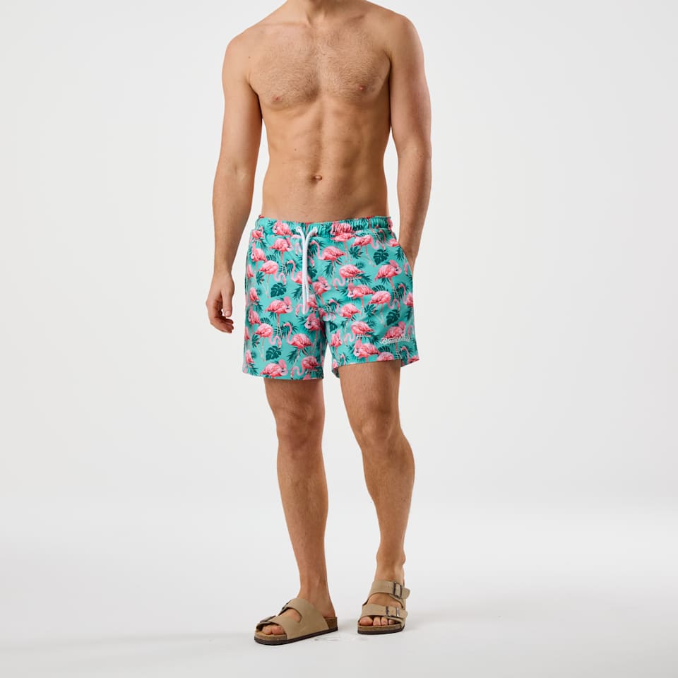 Beach Stretch Shorts