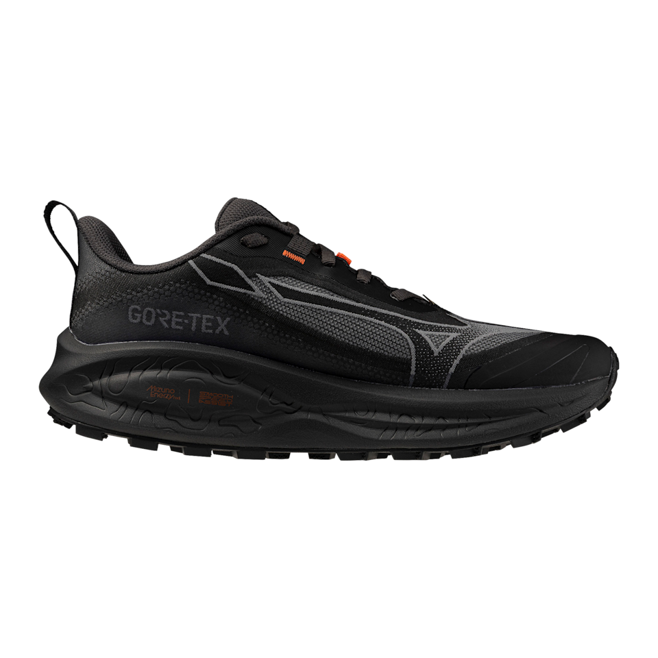 NEO DAICHI 10 GTX(W)