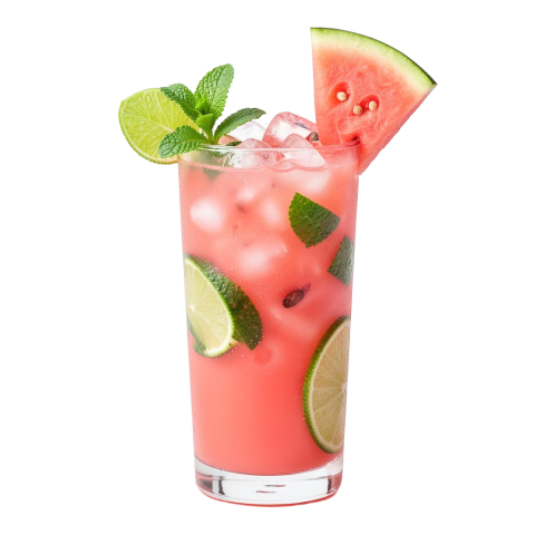 Watermelon Mojito