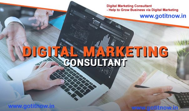 Hire Digital Marketing Consultant Hire Digital Marketing Consultant