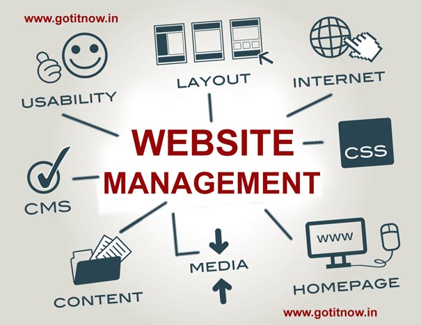 website management