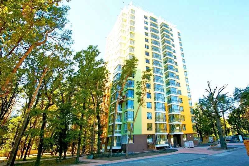 Анатолія Петрицького, 13