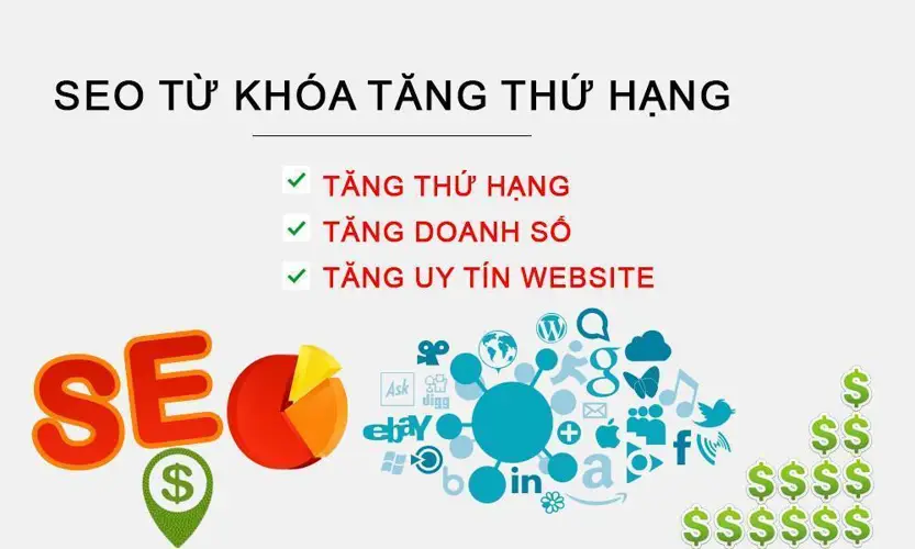 Dịch vụ SEO Phantom Keyword Tăng traffic và trở thành Authority Site