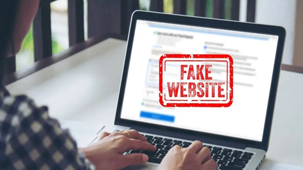 External link là gì? Phân biệt External link, Internal link và Backlink
