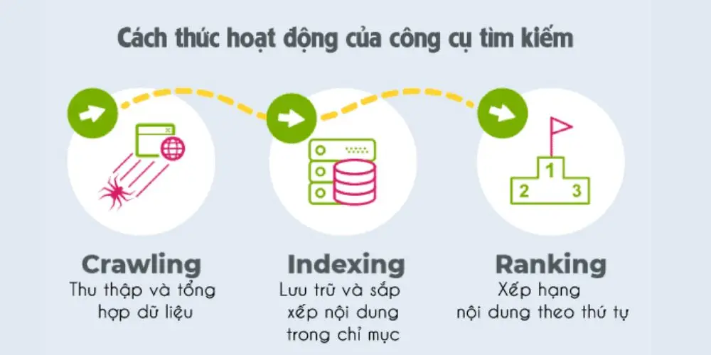 SEO Entity là gì - Tất cả những điều bạn cần biết
