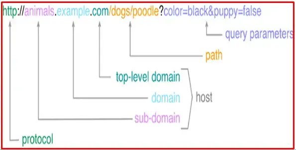 Domain là gì? Tên miền là gì? Khái niệm, công dụng và cách đăng ký 5